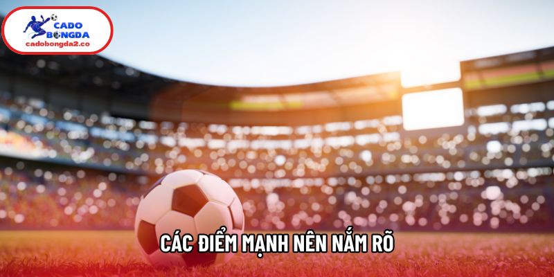 Các điểm mạnh nên nắm rõ