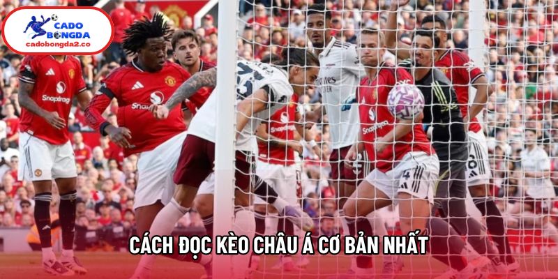 Cách đọc kèo châu Á cơ bản nhất