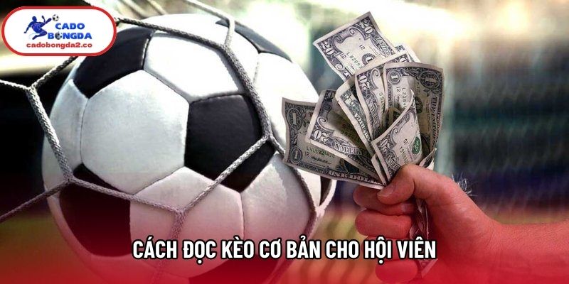Cách đọc kèo cơ bản cho hội viên
