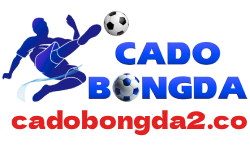 cadobongda-logo