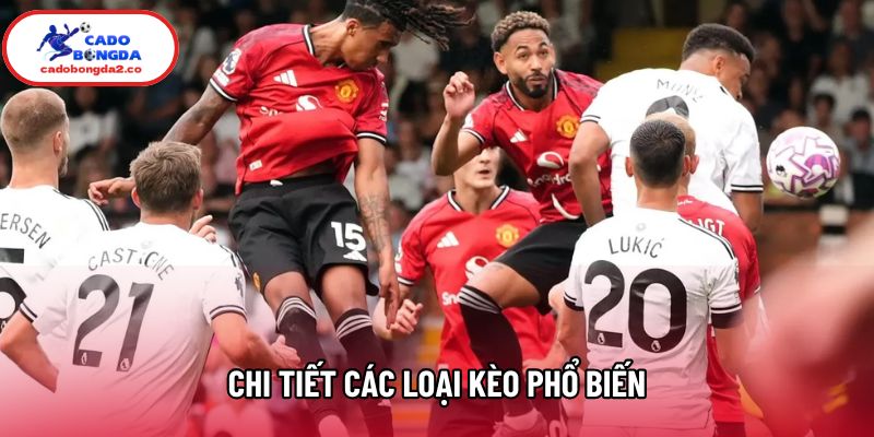 Chi tiết các loại kèo phổ biến