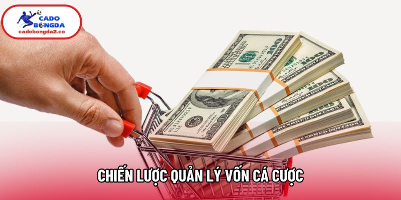 Chiến Lược Quản Lý Vốn Cá Cược Giúp Ổn Định Dòng Tiền Năm 2026