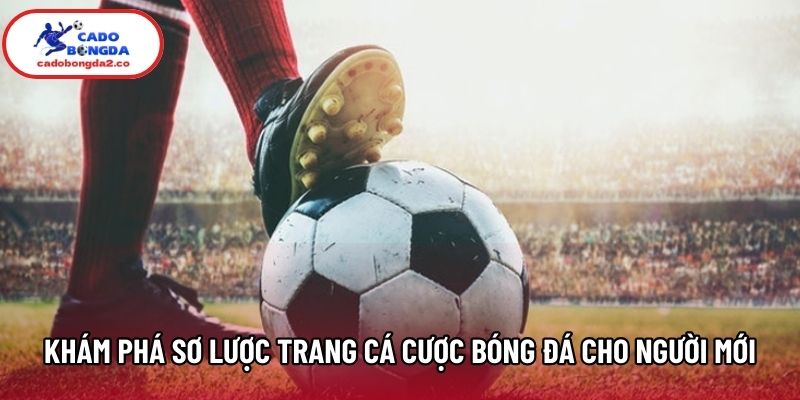 Khám phá sơ lược trang cá cược bóng đá cho người mới