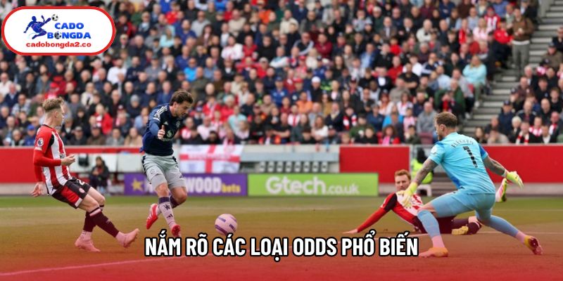 Nắm rõ các loại odds phổ biến