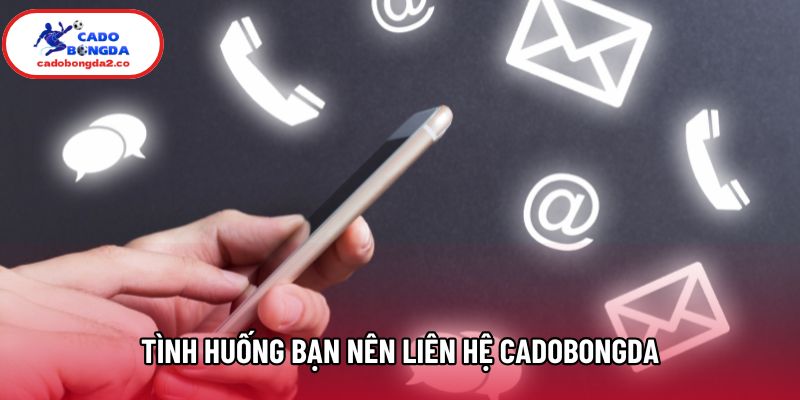 Tình huống bạn nên liên hệ Cadobongda