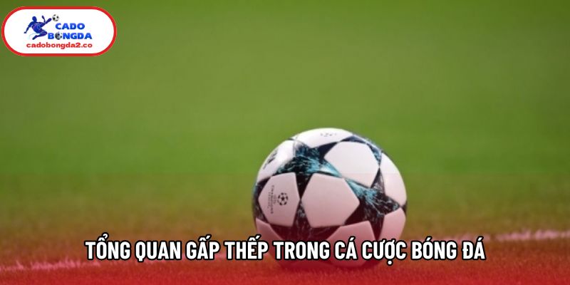 Tổng quan gấp thếp trong cá cược bóng đá Tổng quan gấp thếp trong cá cược bóng đá